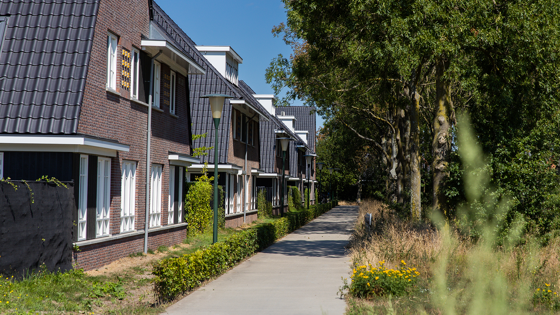 Half year report Ballast Nedam continues strong performance