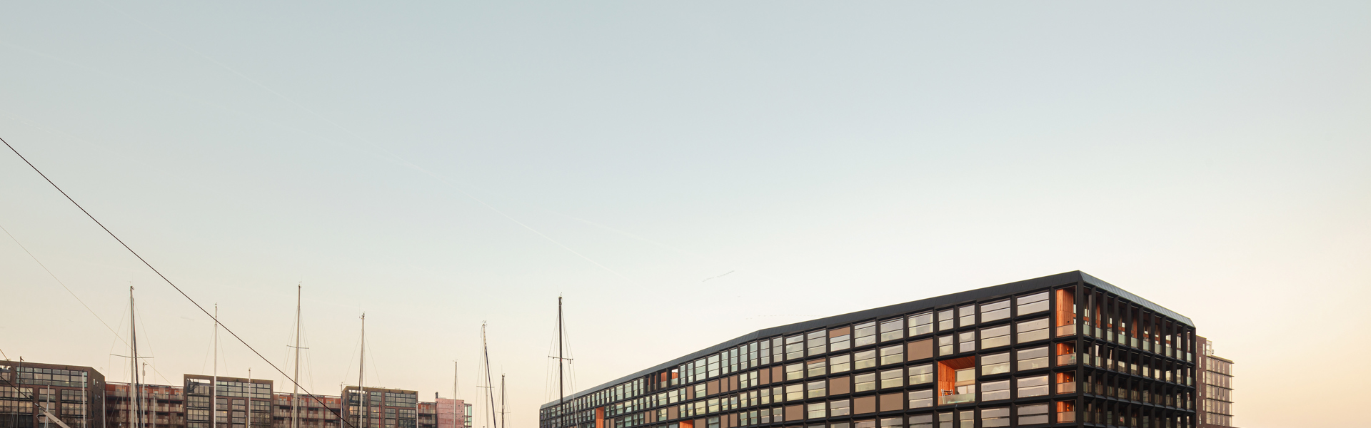 The Jonas Project office