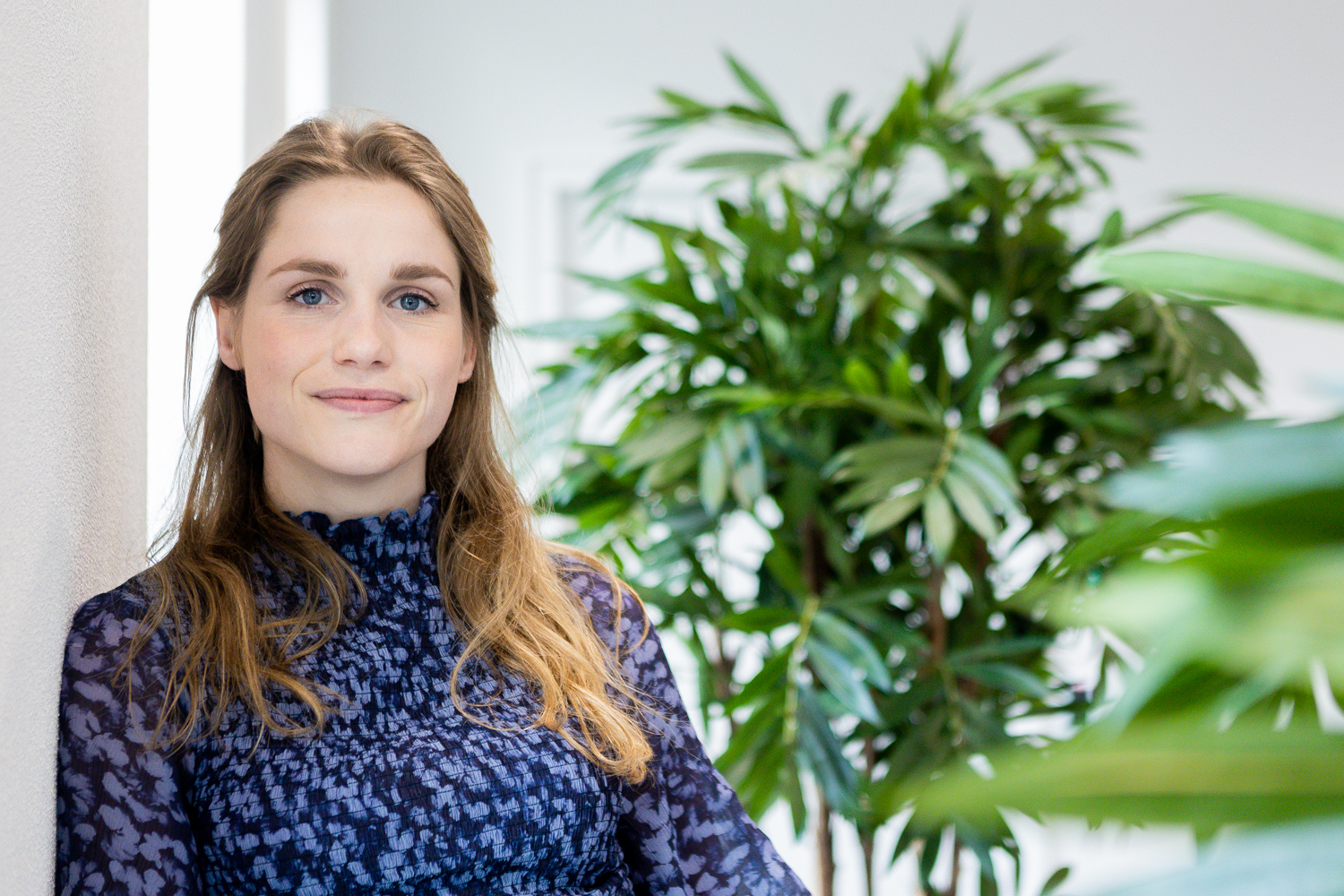 Traineeship as a stepping stone